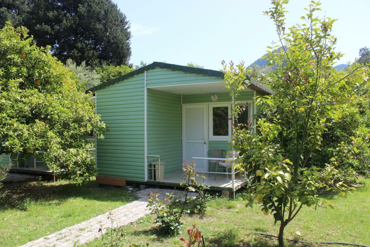 Saklıbahçe Séjour chez l'habitant *
