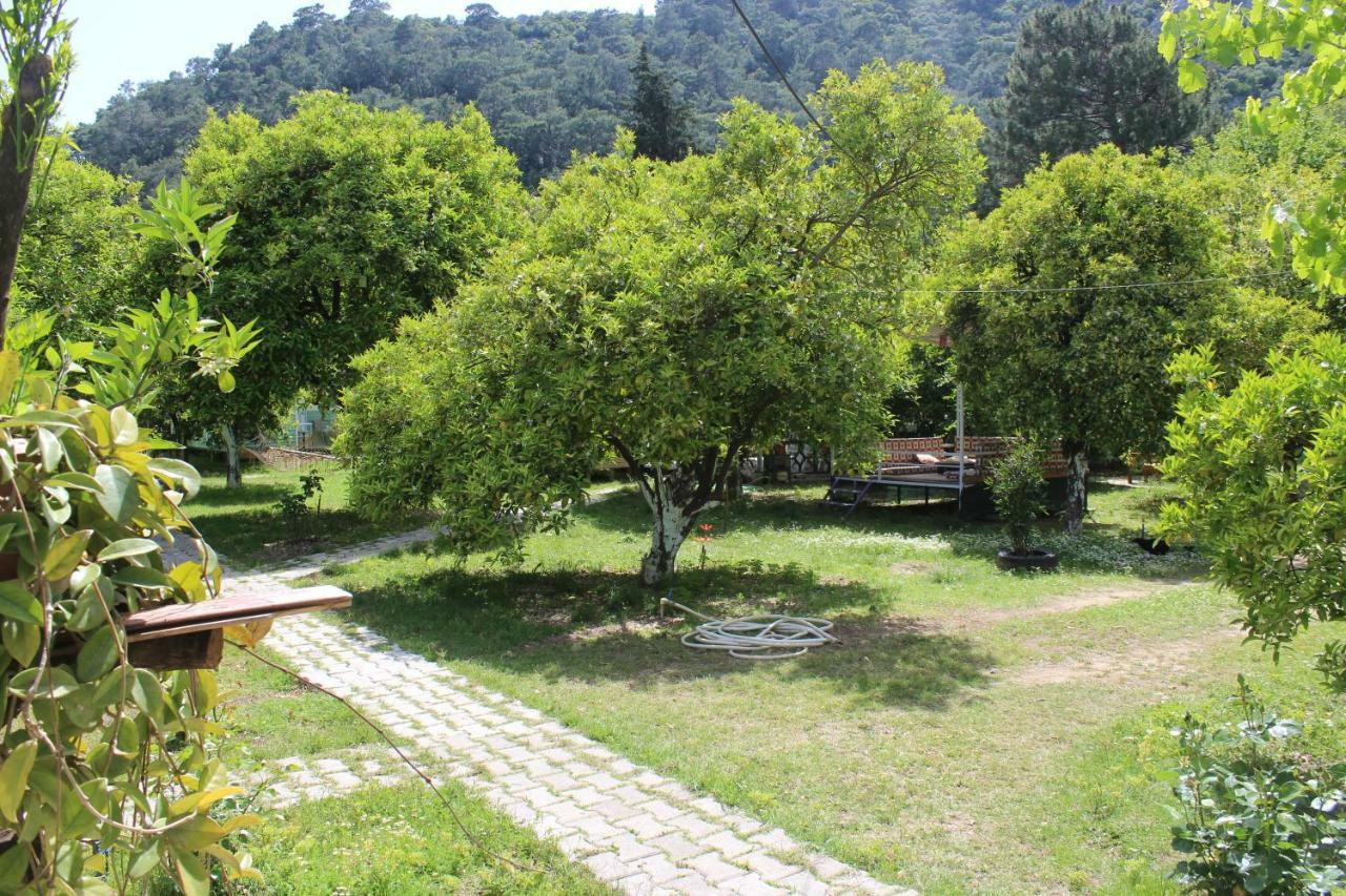 Saklıbahçe * Çıralı
