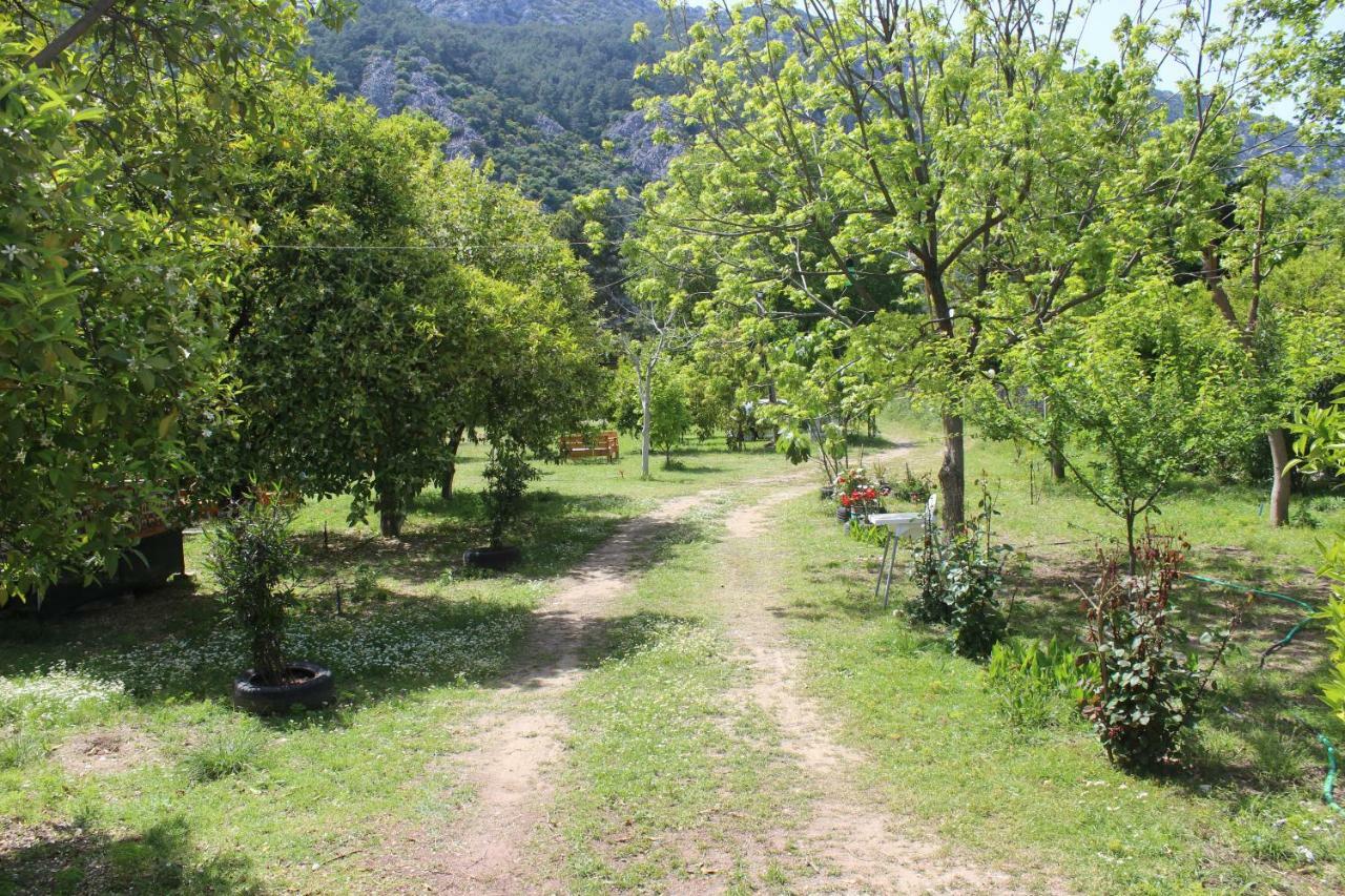 Saklıbahçe * Çıralı