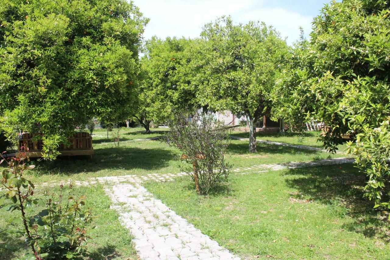 Saklıbahçe